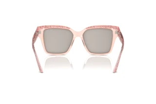 Rear view Jimmy Choo JC5003 (5039/Z)