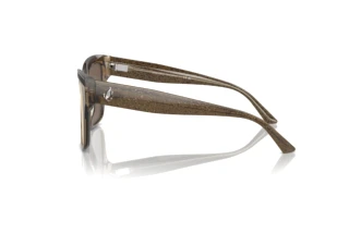 Side view Jimmy Choo JC5003 (50405A)