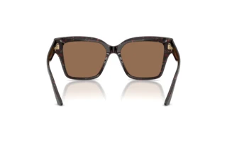 Rear view Jimmy Choo JC5003 (512573)