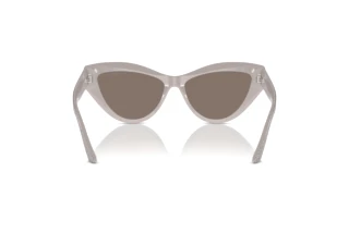 Rear view Jimmy Choo JC5004 (50465A)