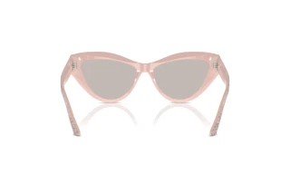Rear view Jimmy Choo JC5004 (5047/Z)
