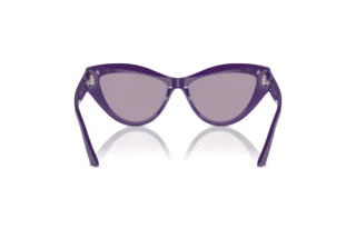 Rear view Jimmy Choo JC5004 (50482S)