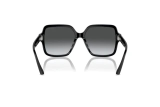 Rear view Jimmy Choo JC5005 (5041T3)