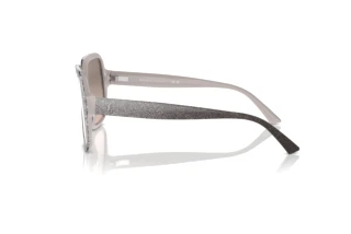 Side view Jimmy Choo JC5005 (50426I)