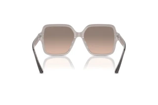Rear view Jimmy Choo JC5005 (50426I)