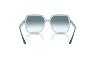 Rear view Jimmy Choo JC5005 (504319)