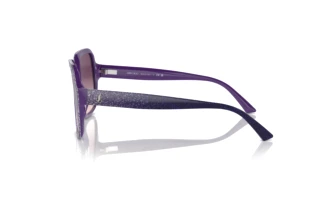 Side view Jimmy Choo JC5005 (50447W)