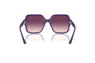 Rear view Jimmy Choo JC5005 (50447W)