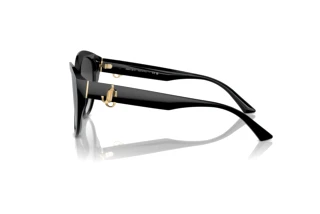 Side view Jimmy Choo JC5007 (50008G)
