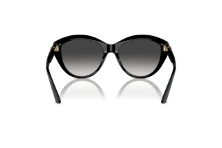 Rear view Jimmy Choo JC5007 (50008G)