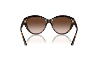 Rear view Jimmy Choo JC5007 (500213)