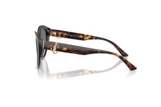 Side view Jimmy Choo JC5007 (50028F)