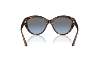 Rear view Jimmy Choo JC5007 (50028F)