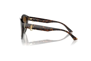 Side view Jimmy Choo JC5007 (5002T5)