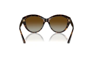 Rear view Jimmy Choo JC5007 (5002T5)