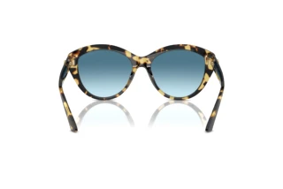 Rear view Jimmy Choo JC5007 (500419)