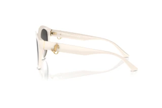 Side view Jimmy Choo JC5007 (50088G)