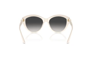 Rear view Jimmy Choo JC5007 (50088G)
