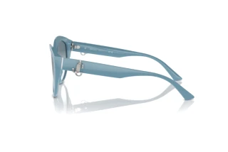 Side view Jimmy Choo JC5007 (501219)