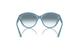 Rear view Jimmy Choo JC5007 (501219)