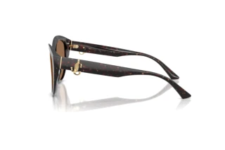 Side view Jimmy Choo JC5007 (512573)