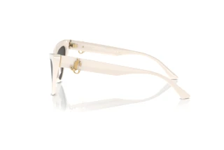 Side view Jimmy Choo JC5008 (500887)