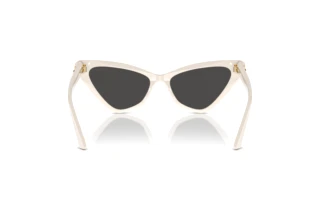Rear view Jimmy Choo JC5008 (500887)