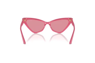 Rear view Jimmy Choo JC5008 (502484)
