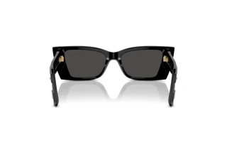 Rear view Jimmy Choo JC5009 (500087)