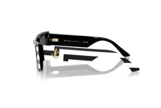 Side view Jimmy Choo JC5009 (502987)