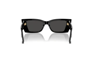 Rear view Jimmy Choo JC5009 (502987)