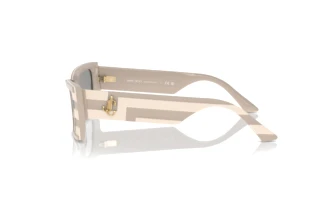 Side view Jimmy Choo JC5009 (5030/1)