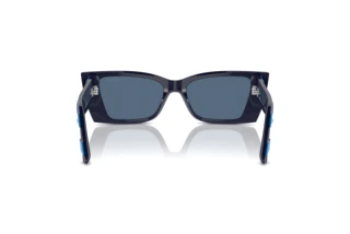 Rear view Jimmy Choo JC5009 (503180)