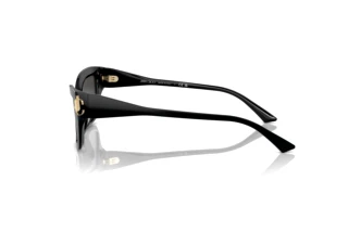 Side view Jimmy Choo JC5011U (500087)