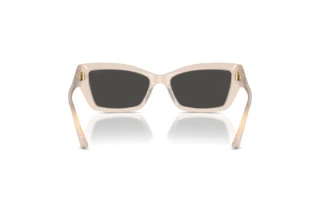 Rear view Jimmy Choo JC5011U (502587)