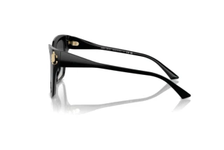 Side view Jimmy Choo JC5012 (50008G)