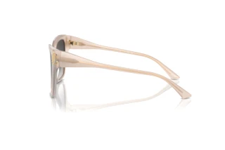 Side view Jimmy Choo JC5012 (50258G)