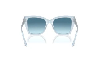 Rear view Jimmy Choo JC5012 (502619)