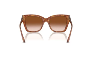 Rear view Jimmy Choo JC5012 (511413)
