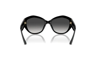 Rear view Jimmy Choo JC5013U (50008G)