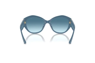 Rear view Jimmy Choo JC5013U (502019)