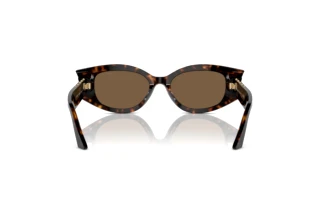 Rear view Jimmy Choo JC5015U (500273)
