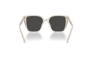 Rear view Jimmy Choo JC5016D (500887)