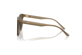 Side view Jimmy Choo JC5016D (505173)