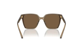 Rear view Jimmy Choo JC5016D (505173)