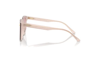 Side view Jimmy Choo JC5016D (505268)
