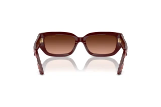 Rear view Jimmy Choo JC5017 (50135M)