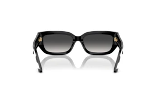 Rear view Jimmy Choo JC5017 (50298G)