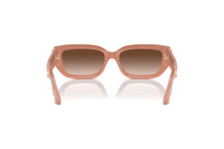 Rear view Jimmy Choo JC5017 (503213)