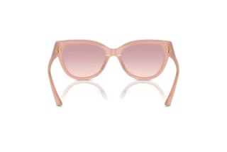 Rear view Jimmy Choo JC5018U (502768)